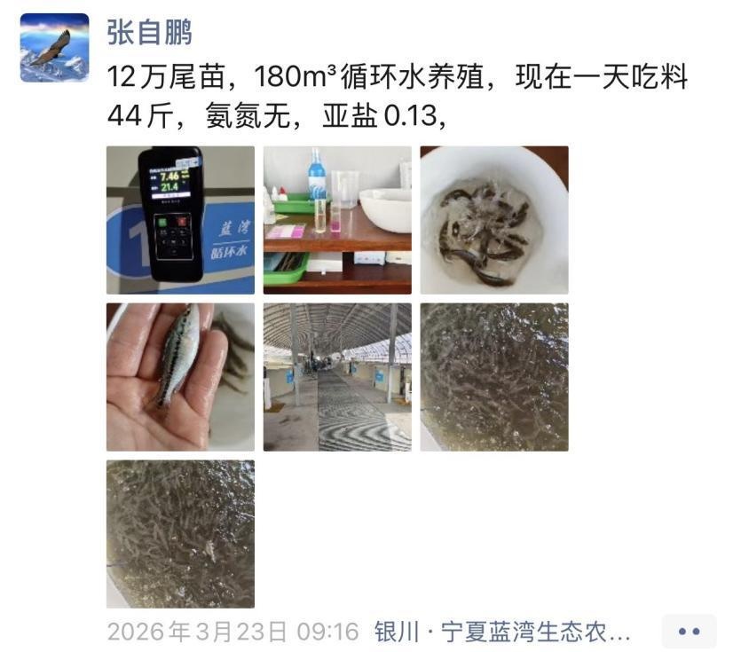 宁夏没有海,为何能在戈壁滩里养“海鲜”? 宁夏没有海,为何能在戈壁滩里养“海鲜”?