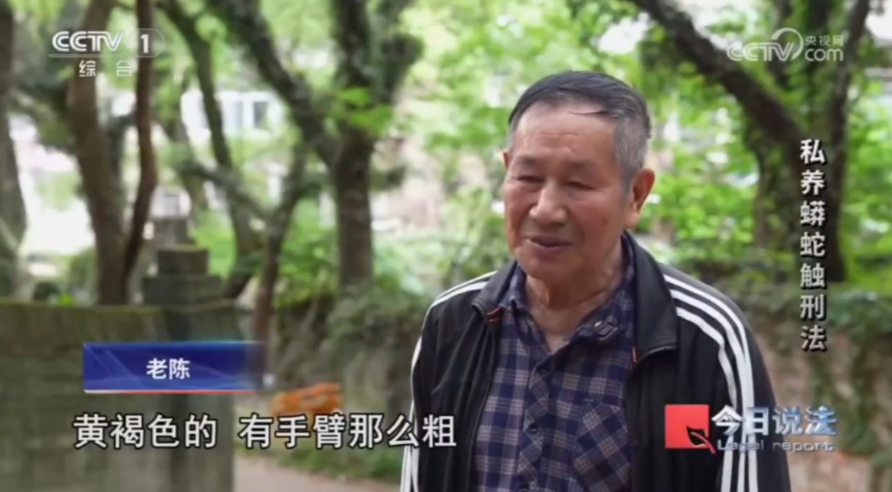 毛骨悚然!独居男子在家养300多条蟒蛇,每月喂养花4000多元… 毛骨悚然!独居男子在家养300多条蟒蛇,每月喂养花4000多元…