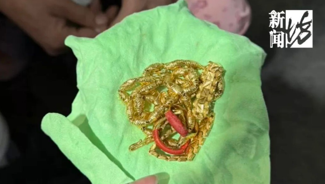 沪一阿姨急煞!现金、黄金装在大衣里扔了,民警翻找垃圾堆2小时 沪一阿姨急煞!现金、黄金装在大衣里扔了,民警翻找垃圾堆2小时