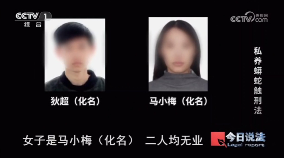 毛骨悚然!独居男子在家养300多条蟒蛇,每月喂养花4000多元… 毛骨悚然!独居男子在家养300多条蟒蛇,每月喂养花4000多元…