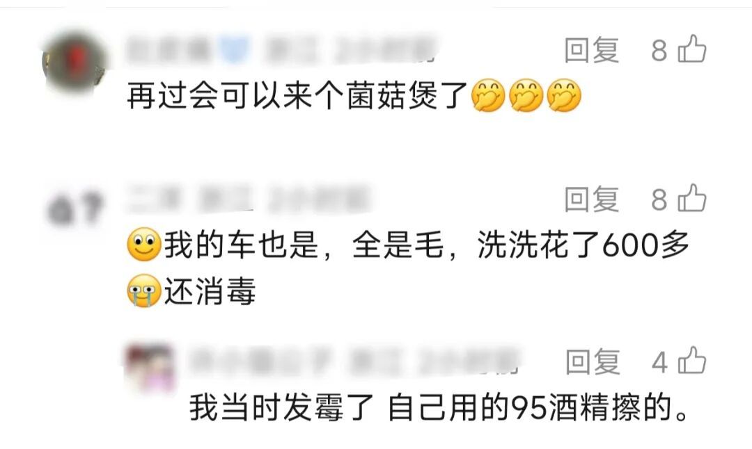 汽车停地库一个多月,方向盘和座椅长满了毛!"洗了两个多小时" 汽车停地库一个多月,方向盘和座椅长满了毛!"洗了两个多小时"