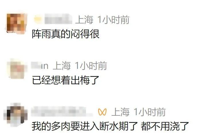官宣:上海明天入梅,“火力”很猛!端午节大到暴雨! 官宣:上海明天入梅,“火力”很猛!端午节大到暴雨!