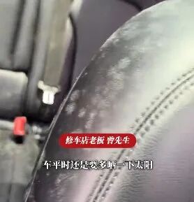 汽车停地库一个多月,方向盘和座椅长满了毛!"洗了两个多小时" 汽车停地库一个多月,方向盘和座椅长满了毛!"洗了两个多小时"