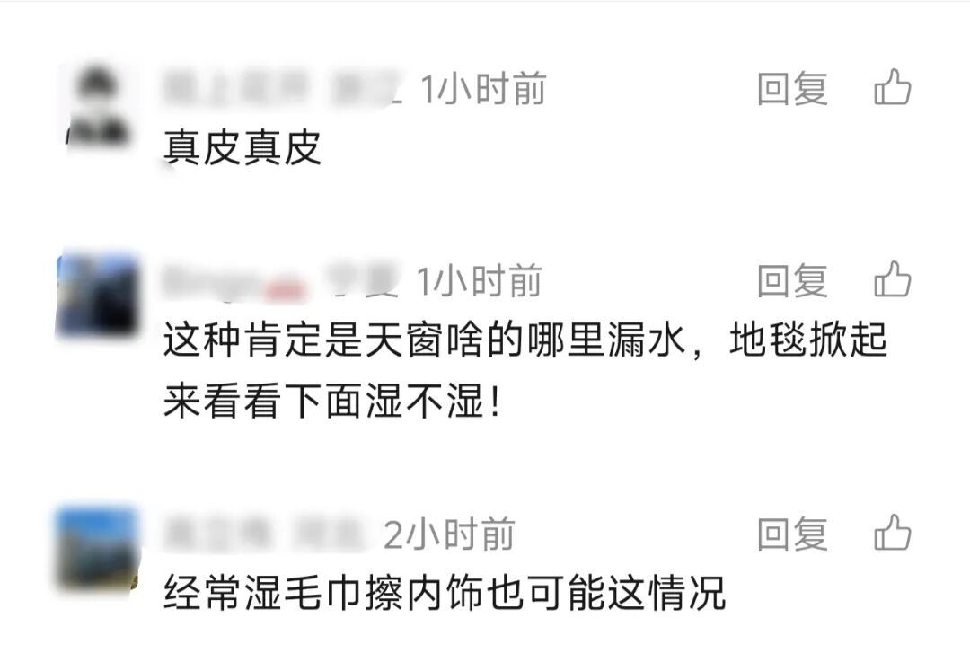 汽车停地库一个多月,方向盘和座椅长满了毛!"洗了两个多小时" 汽车停地库一个多月,方向盘和座椅长满了毛!"洗了两个多小时"