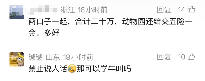 动物园年薪10万招黑熊NPC,上百人报名!网友:这适合我啊 动物园年薪10万招黑熊NPC,上百人报名!网友:这适合我啊