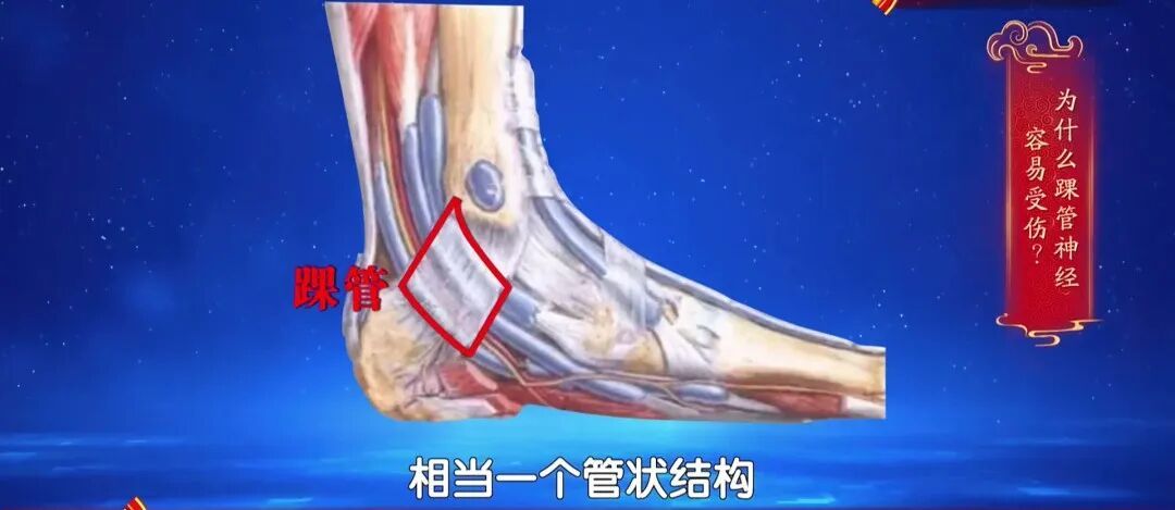 走路多了脚疼不正常?医生:这种疼可能是神经在报警,两个小妙招,轻松护足 走路多了脚疼不正常?医生:这种疼可能是神经在报警,两个小妙招,轻松护足
