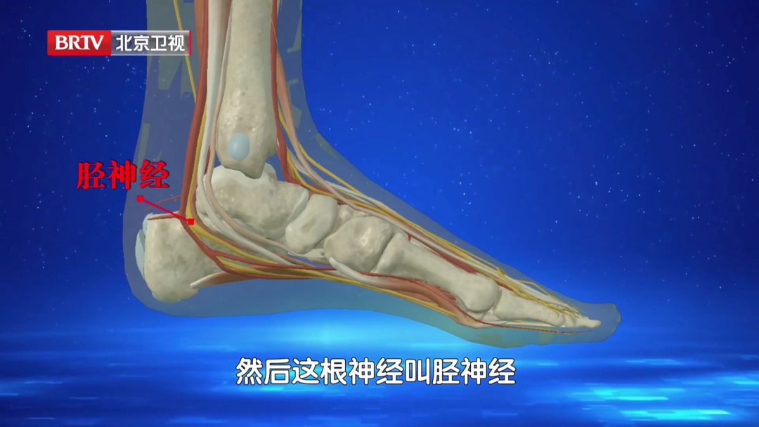 走路多了脚疼不正常?医生:这种疼可能是神经在报警,两个小妙招,轻松护足 走路多了脚疼不正常?医生:这种疼可能是神经在报警,两个小妙招,轻松护足