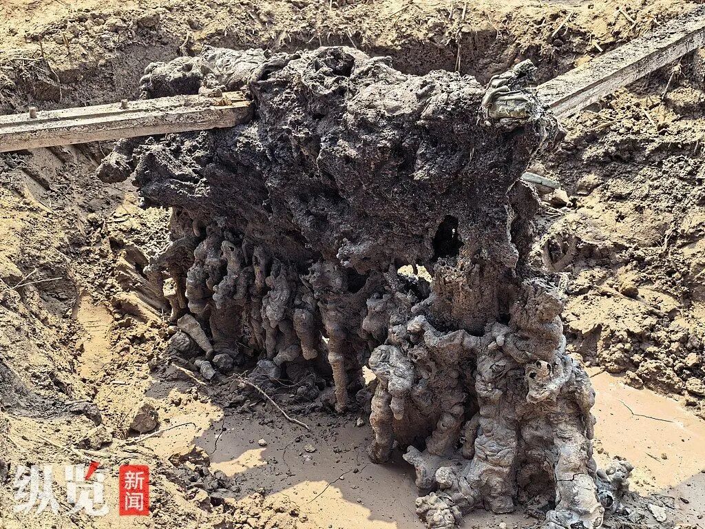 闪电惊雷过后,河北衡水麦田出现怪石 闪电惊雷过后,河北衡水麦田出现怪石