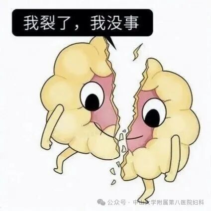 还敢“忙完再上厕所”？女子憋尿3小时后黄体破裂出血