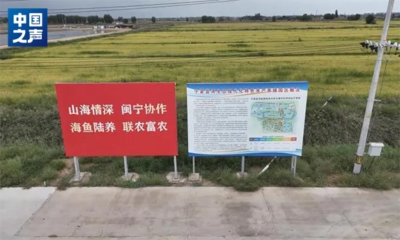 宁夏没有海,为何能在戈壁滩里养“海鲜”? 宁夏没有海,为何能在戈壁滩里养“海鲜”?