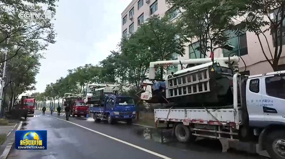 【在希望的田野上】全国夏粮丰收成定局 【在希望的田野上】全国夏粮丰收成定局