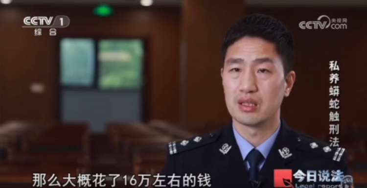 毛骨悚然!独居男子在家养了300多条蟒蛇 毛骨悚然!独居男子在家养了300多条蟒蛇
