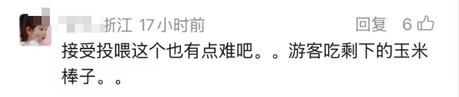 动物园年薪10万招黑熊NPC,已有上百人报名! 动物园年薪10万招黑熊NPC,已有上百人报名!