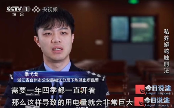 毛骨悚然!独居男子小区养数百条蟒蛇,每月花费四千称在“造物” 毛骨悚然!独居男子小区养数百条蟒蛇,每月花费四千称在“造物”