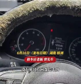 汽车停地库一个多月,方向盘和座椅长满了毛!"洗了两个多小时" 汽车停地库一个多月,方向盘和座椅长满了毛!"洗了两个多小时"