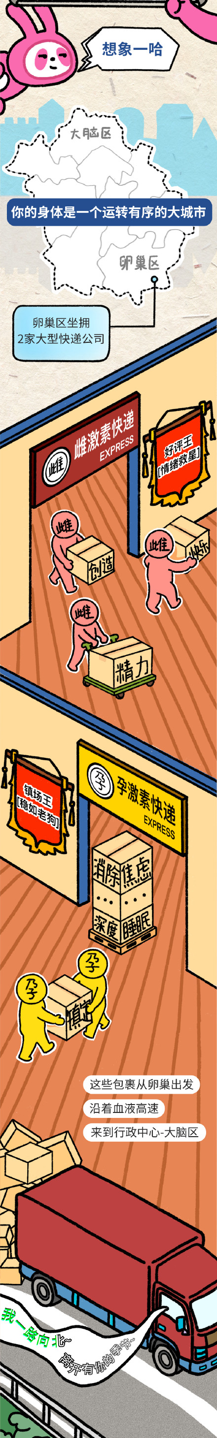 原来经前崩溃不是我太矫情 原来经前崩溃不是我太矫情