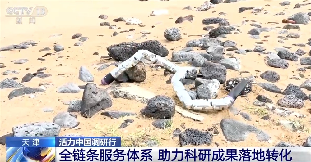 活力中国调研行｜全链条创新服务体系如何助力科研成果落地转化？