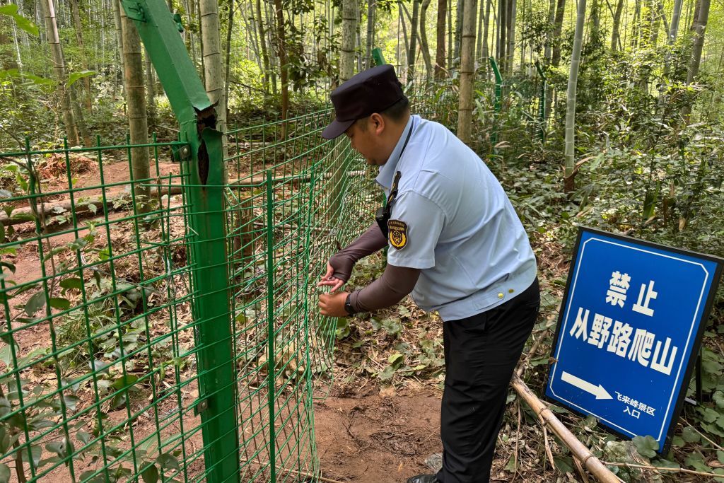 西湖景区重拳治理灵隐“黄牛” 多措并举守护游览公平 西湖景区重拳治理灵隐“黄牛” 多措并举守护游览公平