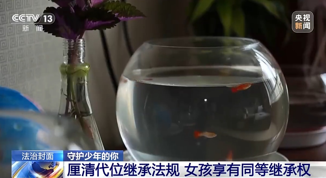 父母离异、父亲爷爷相继去世,13岁女孩被身在国外的大伯起诉,要收回现有住房! 父母离异、父亲爷爷相继去世,13岁女孩被身在国外的大伯起诉,要收回现有住房!