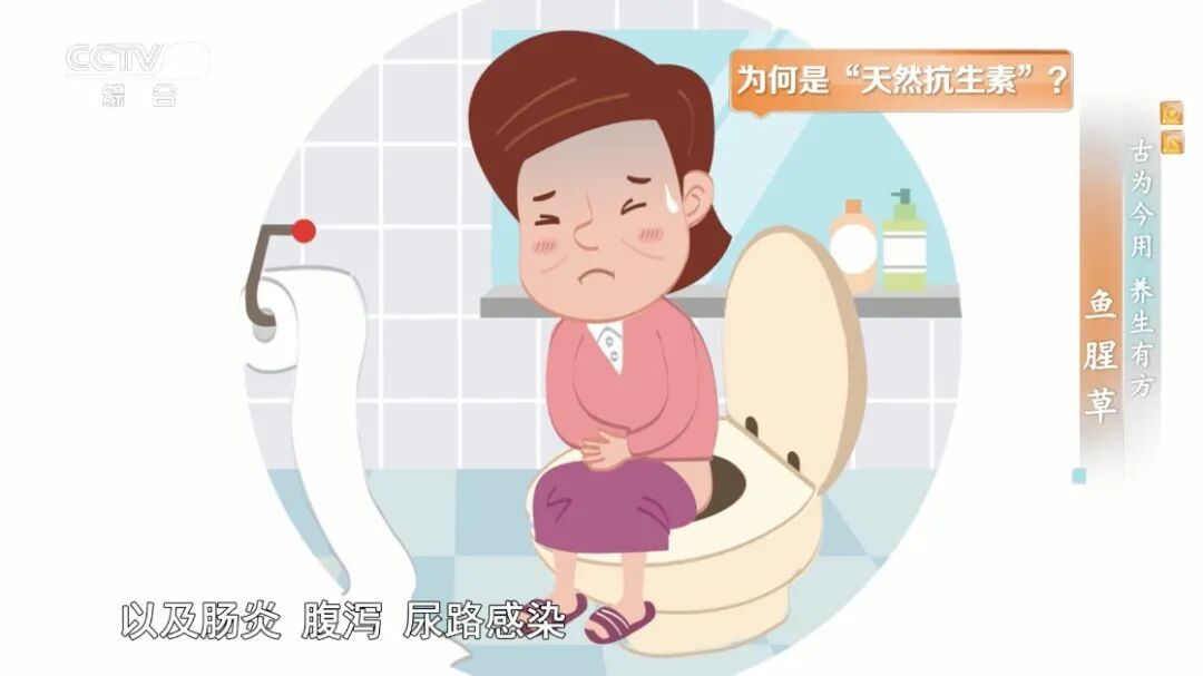 你家餐桌上的它是“天然抗生素”,消炎、抗菌、解毒、消暑,夏天这样吃正合适~ 你家餐桌上的它是“天然抗生素”,消炎、抗菌、解毒、消暑,夏天这样吃正合适~