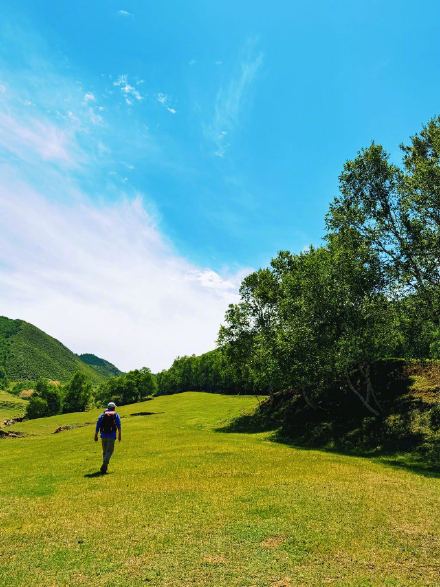 夏日的内蒙古凉城美成了油画 夏日的内蒙古凉城美成了油画