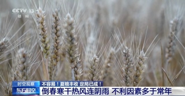 全国夏粮收获过九成 这场丰收保卫战是如何打赢的? 全国夏粮收获过九成 这场丰收保卫战是如何打赢的?