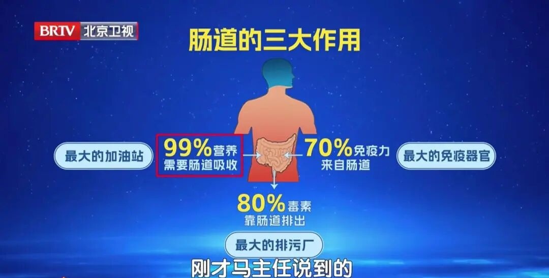 35岁后,你的“第二大脑”是防癌的关键,90%的人都忽略了 35岁后,你的“第二大脑”是防癌的关键,90%的人都忽略了