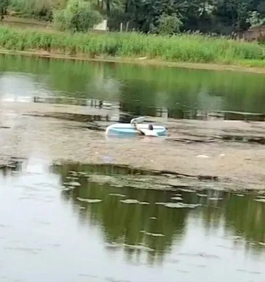 男子落水后被水草“缠身”，无力自救！水上运动要选对地方