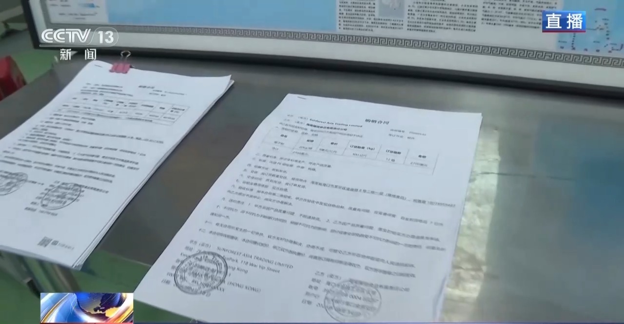 海南自贸港全岛封关半年 企业享受“流动”红利