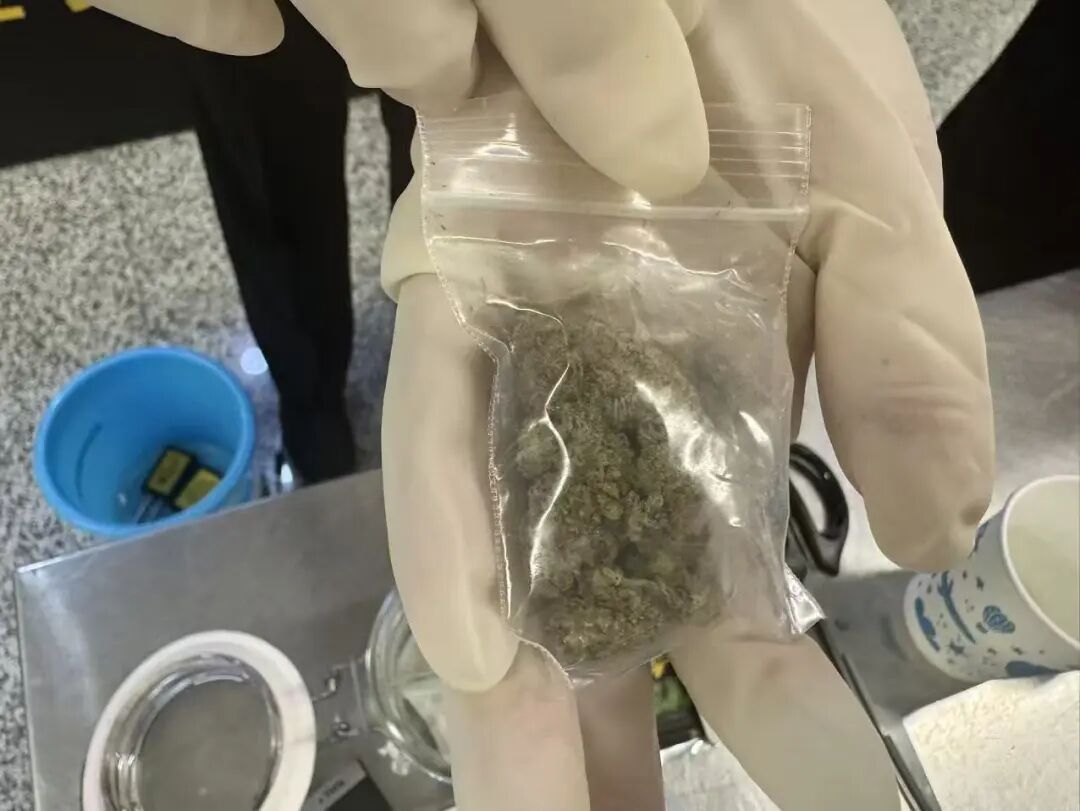 大麻11克、可卡因0.3克、管制药2粒……西安机场海关查获进境旅客“毒包裹”