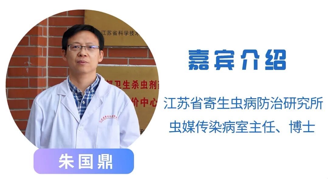 夏季防蚊必知！4种江苏常见蚊子大揭秘