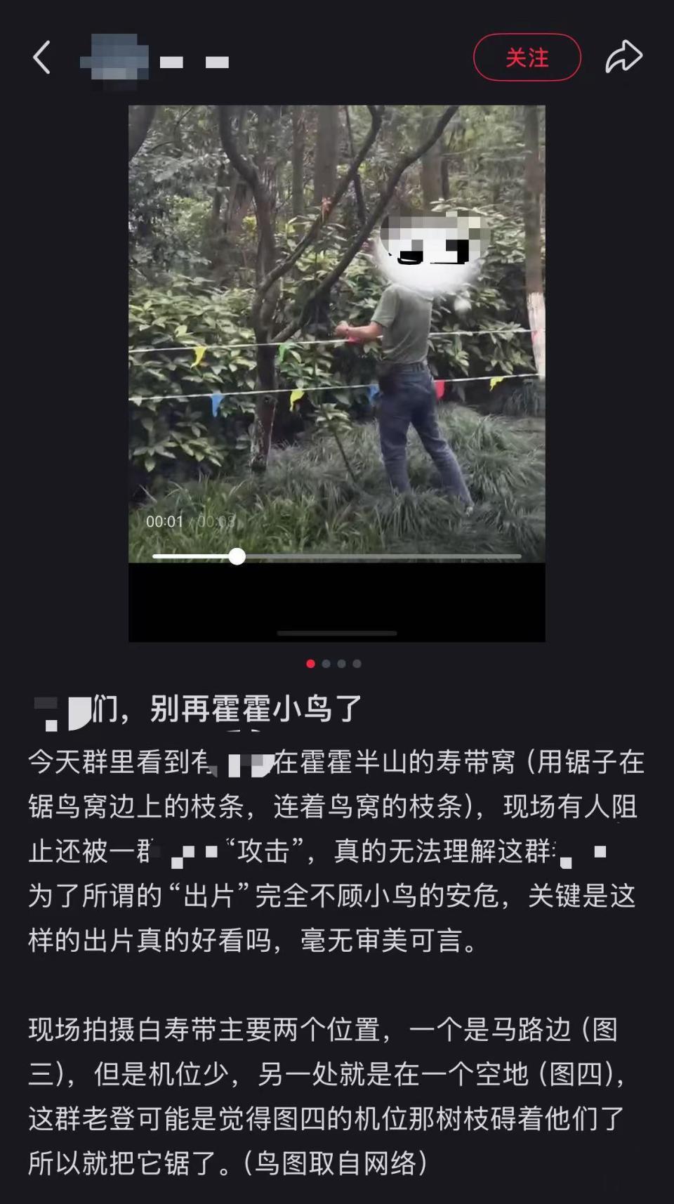 为拍清晰鸟类私锯树枝,杭州半山森林公园鸟巢遭破坏,景区:已安排专人值守 为拍清晰鸟类私锯树枝,杭州半山森林公园鸟巢遭破坏,景区:已安排专人值守
