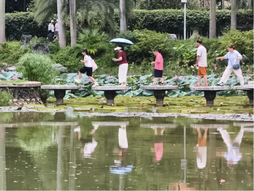 热热热!30℃+火速赶来,南宁开启“桑拿天”模式 热热热!30℃+火速赶来,南宁开启“桑拿天”模式