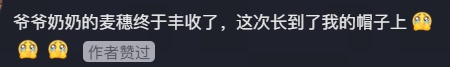 毕业典礼上,女孩带奶奶上台“拨穗”~网友:老人的麦穗,丰收了 毕业典礼上,女孩带奶奶上台“拨穗”~网友:老人的麦穗,丰收了