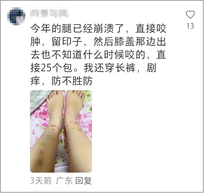 比蚊子更小,毒性更大!这种虫子进入活跃期,被咬后奇痒无比!不少深圳人中招...... 比蚊子更小,毒性更大!这种虫子进入活跃期,被咬后奇痒无比!不少深圳人中招......