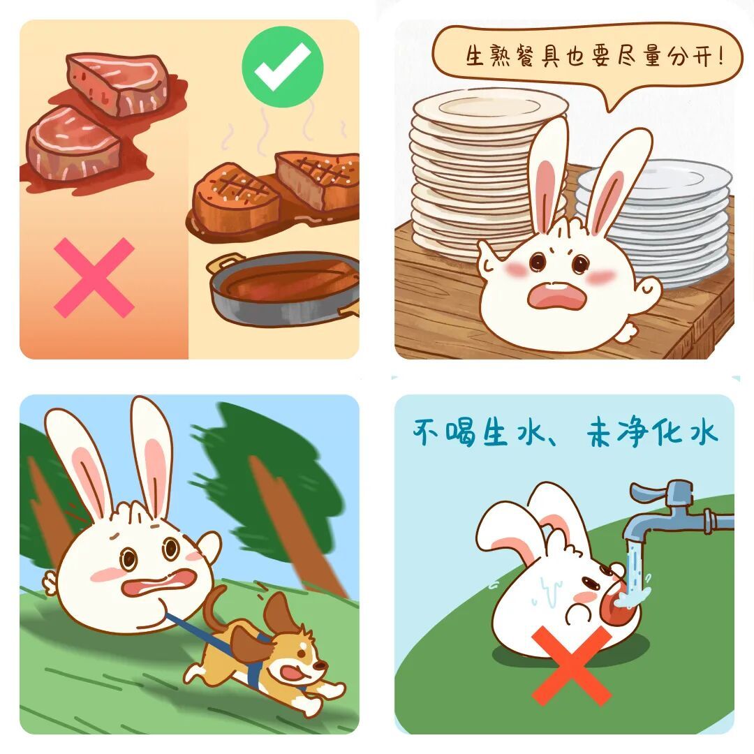 医聊 | 不知不觉被你吃进去的虫子，到底有多可怕？