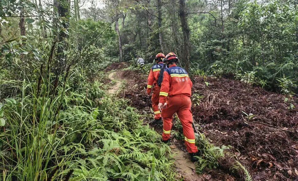 广东72岁老人独自外出失联7天,200人搜救队轮流寻找,终于在小溪上游找到人 广东72岁老人独自外出失联7天,200人搜救队轮流寻找,终于在小溪上游找到人