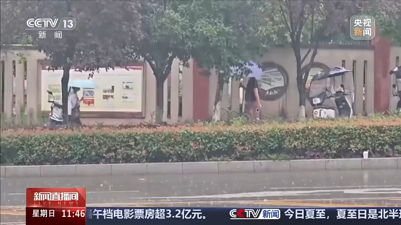 今日夏至 一起读懂谚语中隐藏的科学密码 今日夏至 一起读懂谚语中隐藏的科学密码