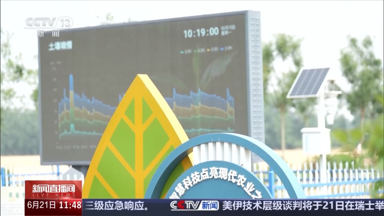 今日夏至 一起读懂谚语中隐藏的科学密码 今日夏至 一起读懂谚语中隐藏的科学密码