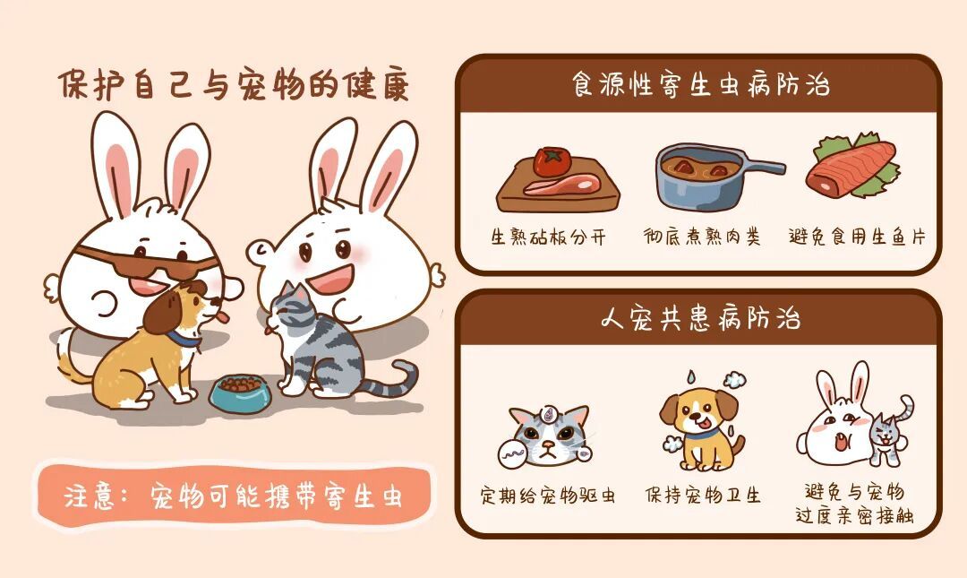 医聊 | 不知不觉被你吃进去的虫子，到底有多可怕？