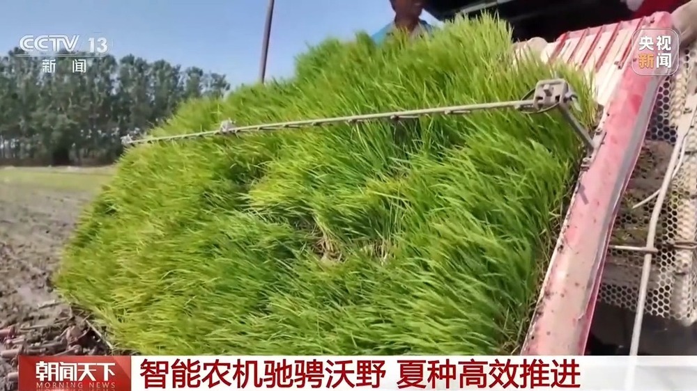 科技赋能 全国夏播粮食进度近七成 科技赋能 全国夏播粮食进度近七成