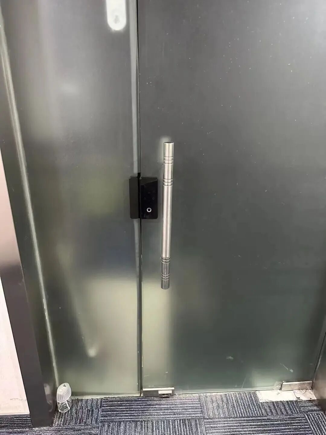 上海一办公楼内现异宠养殖腥臭弥漫!上百条蛇出没,还有活虫频繁“越狱”……官方回应 上海一办公楼内现异宠养殖腥臭弥漫!上百条蛇出没,还有活虫频繁“越狱”……官方回应