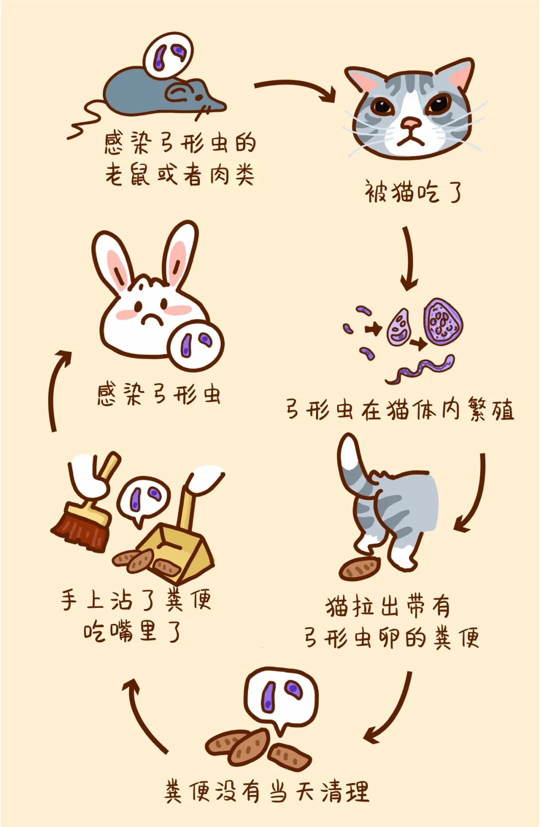 医聊 | 不知不觉被你吃进去的虫子，到底有多可怕？