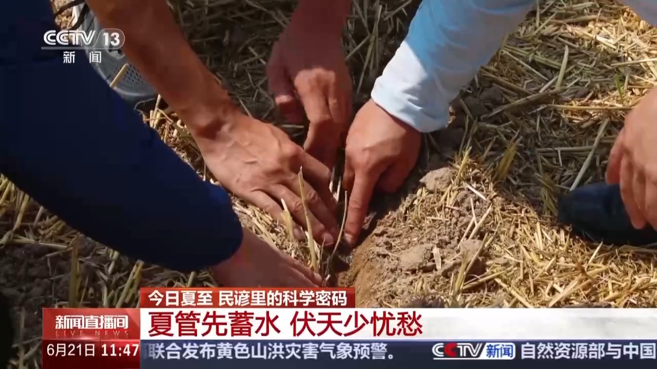 今日夏至 一起读懂谚语中隐藏的科学密码 今日夏至 一起读懂谚语中隐藏的科学密码