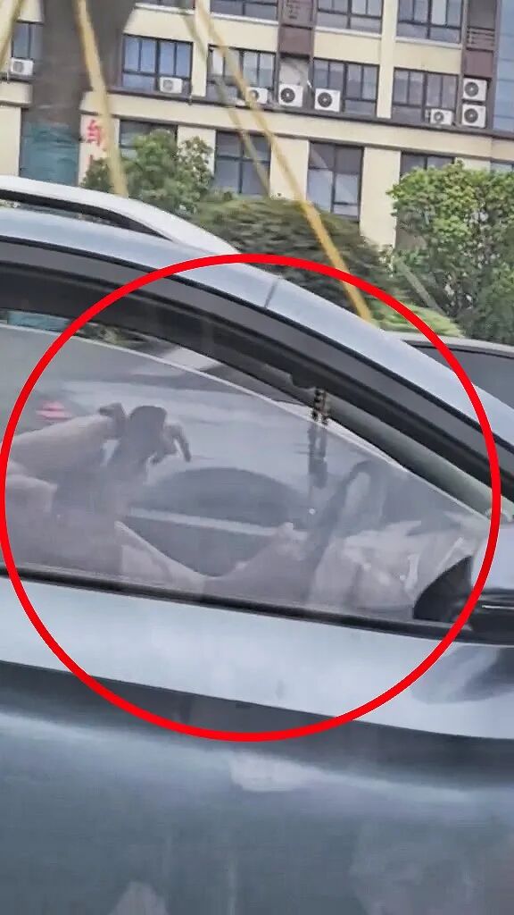 浙江一男子开车时脚踩方向盘，腾出双手玩手机，属地交警：已传唤车主并依规予以处罚