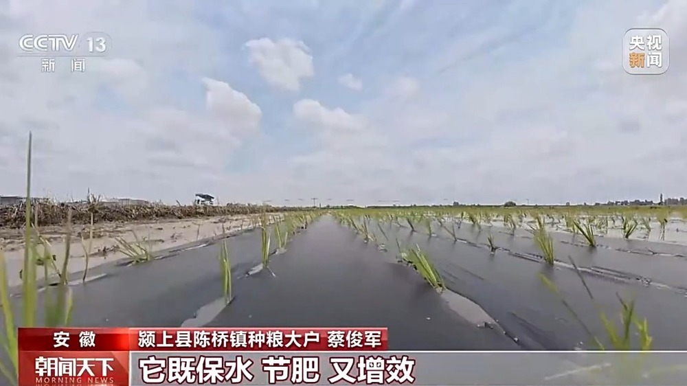 科技赋能 全国夏播粮食进度近七成 科技赋能 全国夏播粮食进度近七成