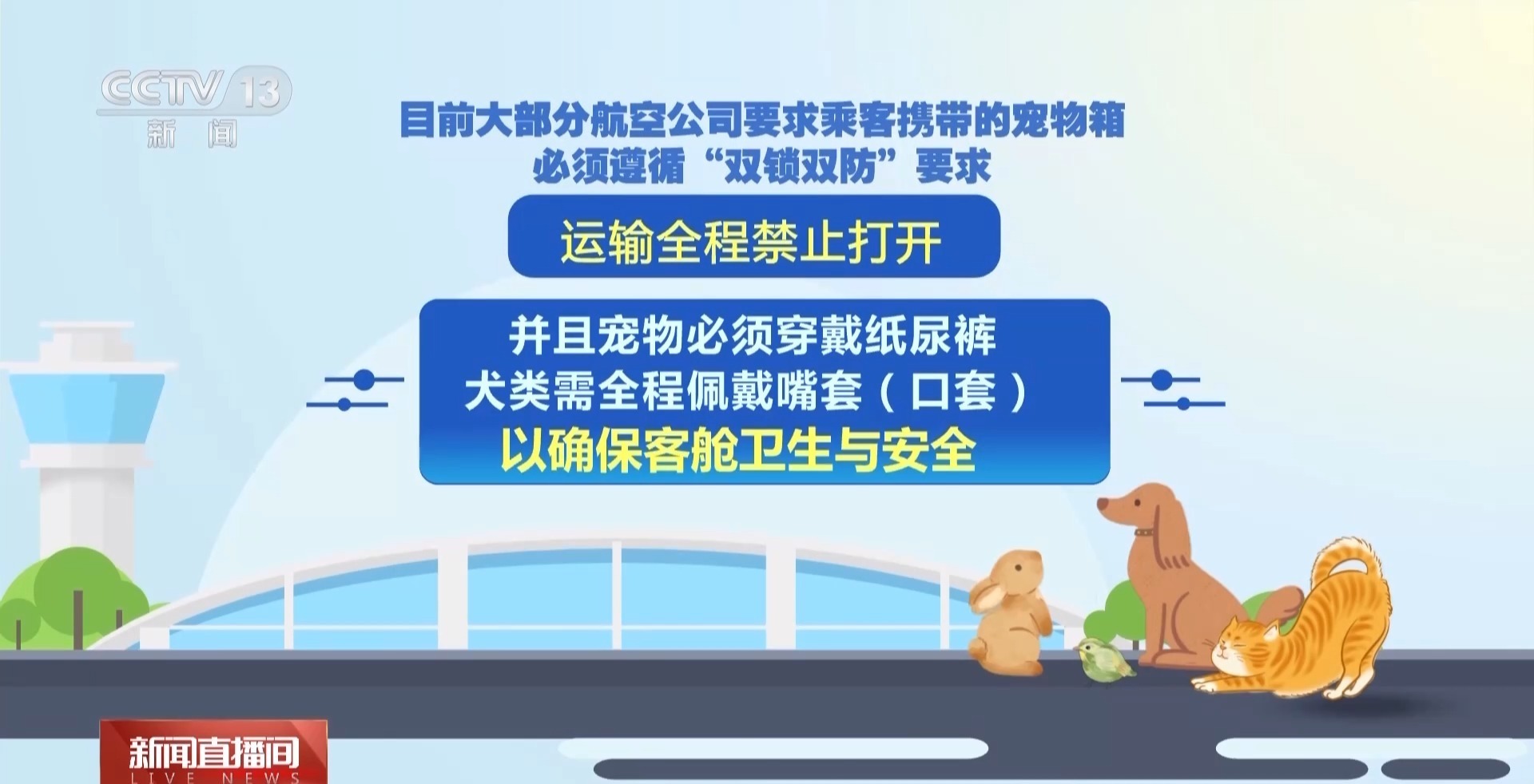 “宠物友好”航线服务升级 “它经济”正成航司竞争新赛道 “宠物友好”航线服务升级 “它经济”正成航司竞争新赛道