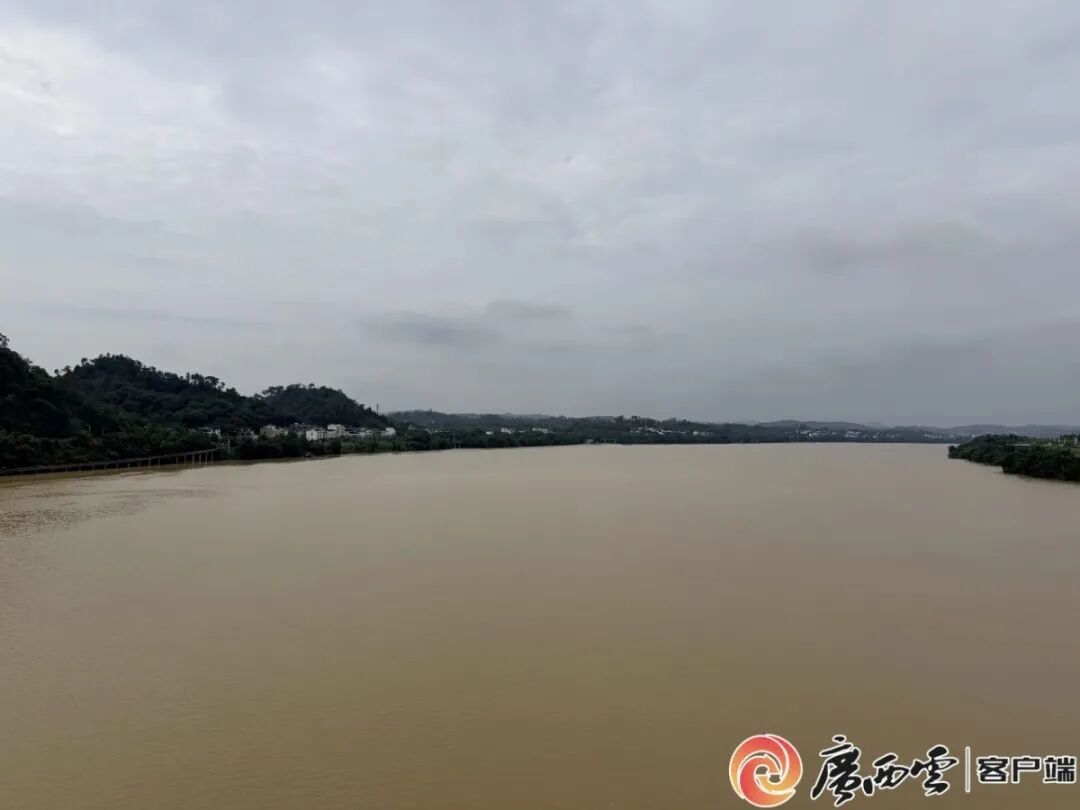 柳江将出现今年首次编号洪水！广西升级发布洪水黄色预警