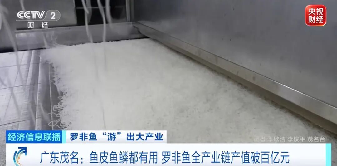 暴涨八成,边角料都能卖钱!这些广东人爱吃的,火了 暴涨八成,边角料都能卖钱!这些广东人爱吃的,火了