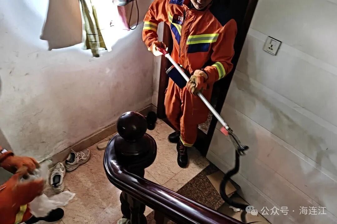 男子被毒蛇咬伤，徒手将蛇活捉到医院就医！福州多地也出现了！医生提醒